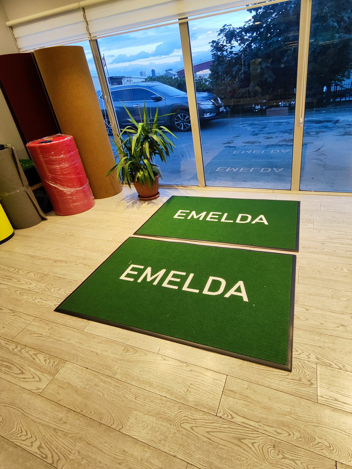 EMELDA-2
